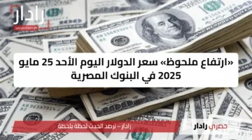 «ارتفاع ملحوظ» سعر الدولار اليوم الأحد 25 مايو 2025 في البنوك المصرية