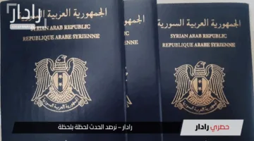 كيفية استخراج جواز السفر السوري 2025 إلكترونيا عبر egov.sy بالمستندات المطلوبة
