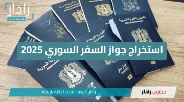 شروط ورابط استخراج جواز السفر السوري 2025 عبر egov.sy وأهم المستندات المطلوبة