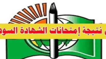 «إلكترونيًا » استخراج نتيجة الشهادة السودانية كيفية الاستعلام 2025 ونسب النجاح المعلنة