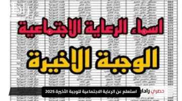 “ابحث عن اسمك الآن”.. استعلم عن الرعاية الاجتماعية للوجبة الأخيرة 2025 بكل سهولة وسرعة