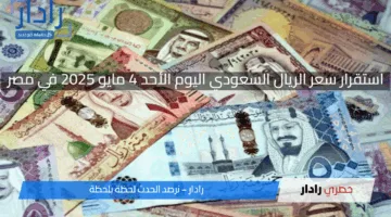 استقرار سعر الريال السعودي اليوم الأحد 4 مايو 2025 في مصر .. هل هو الوقت المناسب للتحويل؟ اعرف التفاصيل لتقرر