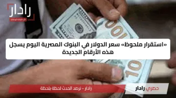 «استقرار ملحوظ» سعر الدولار في البنوك المصرية اليوم يسجل هذه الأرقام الجديدة