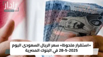«استقرار ملحوظ» سعر الريال السعودى اليوم 28-5-2025 في البنوك المصرية