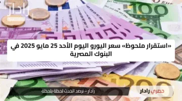 «استقرار ملحوظ» سعر اليورو اليوم الأحد 25 مايو 2025 في البنوك المصرية