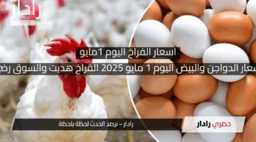 أسعار الدواجن والبيض اليوم 1 مايو 2025 الفراخ هديت والسوق رضي