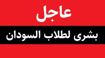 ترقبوا.. اعلان نتيجة الشهادة السودانية 2023 والحصول عليها بعدة خطوات عبر result.sudani.sd