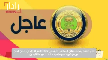 الآن صدرت رسميًا.. نتائج السادس الابتدائي 2025 الدور الأول في صلاح الدين عبر موقع epedu.gov.iq – ألف مبروك للناجحين
