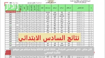 الآن متاح.. نتائج السادس الابتدائي 2025 الكرخ الثالثة برابط مباشر من موقع نتائجنا الرسمي