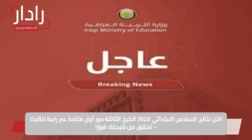 الآن نتائج السادس الابتدائي 2025 الكرخ الثالثة دور أول متاحة عبر رابط نتائجنا – تحقق من نتيجتك فورًا