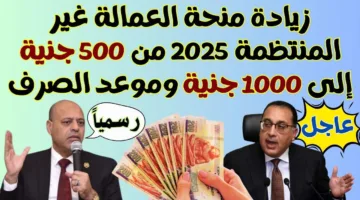 “بشروط بسيطة”.. رابط الاستعلام عن منحة العمالة الغير منتظمة 2025 عبر manpower.gov.eg