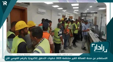 الاستعلام عن منحة العمالة الغير منتظمة 2025 خطوات التحقق إلكترونيًا بالرقم القومي الآن