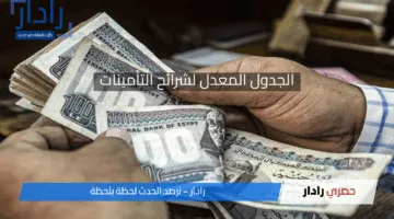 الجدول المعدل لشرائح التأمينات الاجتماعية في مصر وكيفية الاستعلام