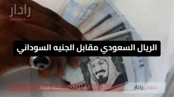  الريال السعودي مقابل الجنيه السوداني.. الجمعة 30 مايو 2025