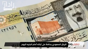 “البنك المركزي يكشف”.. الريال السعودي يحافظ على ثباته أمام الجنيه اليوم في البنوك والسوق السوداء