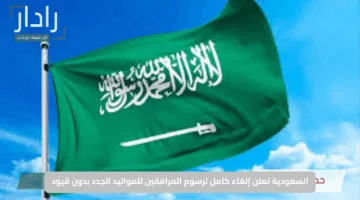 فرحة كبيرة للمقيمين.. السعودية تعلن إلغاء كامل لرسوم المرافقين للمواليد الجدد بدون قيود