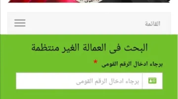 وزارة القوى العاملة تعلن استمرار صرف منحة العماله الغير منتظمه 2025 وخطوات الاستعلام عبر manpower.gov.eg
