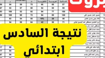 نتائج السادس الابتدائي 2025 تربية النجف – كشف النقاب عن نتائج الدور الأول بأسلوب جديد ومباشر