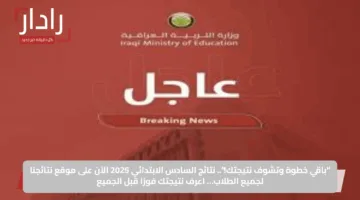 “باقي خطوة وتشوف نتيجتك!”.. نتائج السادس الابتدائي 2025 الآن على موقع نتائجنا لجميع الطلاب… اعرف نتيجتك فورًا قبل الجميع