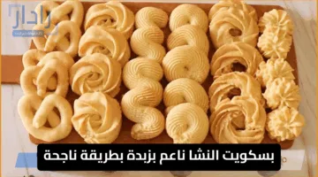 بسكوت نشا الفاخر بفكرة عبقرية وجديده وسر ثبات الرسمه هيجنن كل اللي يدوقه