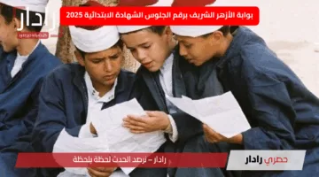 “الدليل الشامل”.. بوابة الأزهر الشريف برقم الجلوس الشهادة الابتدائية 2025 للاستعلام عن النتائج