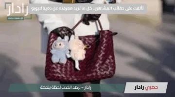 تألقت على حقائب المشاهير.. كل ما تريد معرفته عن دمية لابوبو