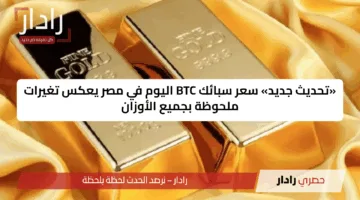 «تحديث جديد» سعر سبائك BTC اليوم في مصر يعكس تغيرات ملحوظة بجميع الأوزان
