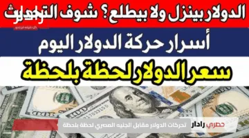 “سعر الدولار الآن”.. تحركات الدولار مقابل الجنيه المصري لحظة بلحظة في السوق السوداء والبنوك اليوم
