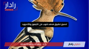 كيفية تحميل تطبيق هدهد شوب على الآيفون والأندرويد لتصدير المنتجات السورية بكل سهولة واحترافية