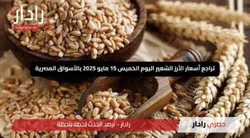 “تعرف الآن”.. سعر الأرز الشعير اليوم يشهد استقرارًا والمستهلكون يتابعون التحديثات