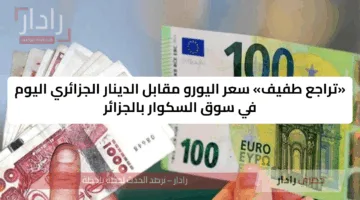 «تراجع طفيف» سعر اليورو مقابل الدينار الجزائري اليوم في سوق السكوار بالجزائر