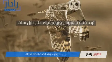 «اكتشف الآن» تردد قناة ناشيونال جيوغرافيك الجديد لمشاهدة أفضل برامج الطبيعة