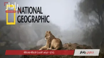“الطبيعة تنادي” تردد ناشونال جيوغرافيك الجديد 2025 National Geographic وكيفية تنزيل القناة بجودة عالية