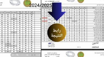 «هسه شوف بسرعة» نتائج السادس الابتدائي محافظة نينوى 2025 الدور الأول عبر نتائجنا.. نزلها PDF
