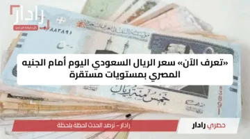 «تعرف الآن» سعر الريال السعودي اليوم أمام الجنيه المصري بمستويات مستقرة