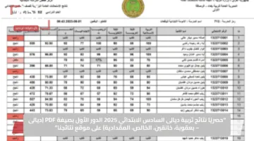 “حصريًا”.. نتائج تربية ديالى السادس الابتدائي 2025 الدور الأول بصيغة PDF “ديالى – بعقوبة، المقدادية، الخالص،خانقين” على موقع نتائجنا