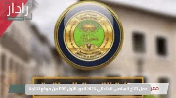 بكل سهولة.. حمل نتائج السادس الابتدائي 2025 الدور الأول PDF من موقع نتائجنا الرسمي فور الإعلان عنها
