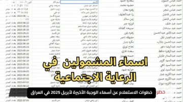 “اكتشف الآن!”.. خطوات الاستعلام عن أسماء الوجبة الأخيرة لأبريل 2025 في العراق وشروط الحصول عليها
