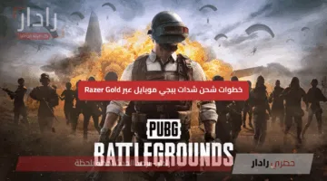 “هدايا حصرية”.. شحن شدات ببجي موبايل 2025 باستخدام بطاقة Razer Gold بطريقة سهلة وسريعة