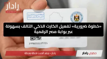 «خطوة ضرورية» تفعيل الكارت الذكي التالف بسهولة عبر بوابة مصر الرقمية
