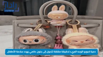 دمية لابوبو الوجه البريء لحقيقة مقلقة تتحول إلى جنون عالمي يهدد سلامة الأطفال