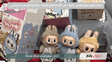 دمية لابوبو تغزو العالم.. تعرف على القصة التي أشعلت مواقع التواصل الاجتماعي