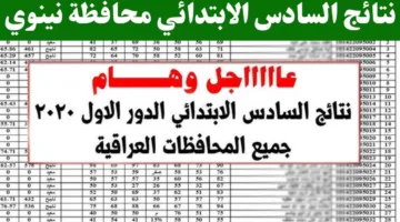 الآن.. نتائج السادس الابتدائي 2025 الدور الاول في العراق كشف شامل