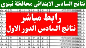 حملها PDF.. نتائج الصف السادس الابتدائي الدور الاول 2025 جميع المحافظات 