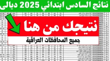 الان نزلها PDF.. نتائج السادس الابتدائي الدور الاول 2025 محافظة ديالى عبر موقع نتائجنا 