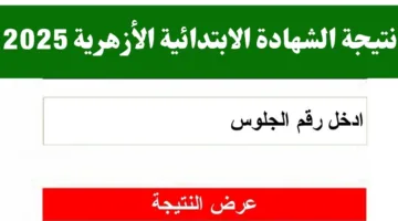 استعلم الان.. نتيجة الشهادة الابتدائية الأزهرية 2025 الترم الثاني فور ظهورها