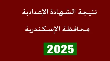 لحظة الحسم.. نتيجة الشهادة الاعدادية الترم الثاني 2025 بالاسكندرية