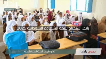 “اكتشف الآن”.. رابط استخراج نتيجة الشهادة السودانية 2025 وخطوات الحصول عليها بسهولة
