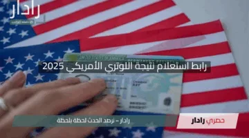 “ابحث عن فرصتك”.. رابط استعلام نتيجة اللوتري الأمريكي 2025 للجرين كارد عبر dvprogram.state