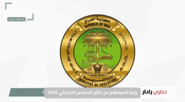“اعرف نتيجتك فوراً عبر الرقم الامتحاني”.. رابط الاستعلام عن نتائج السادس الابتدائي 2025